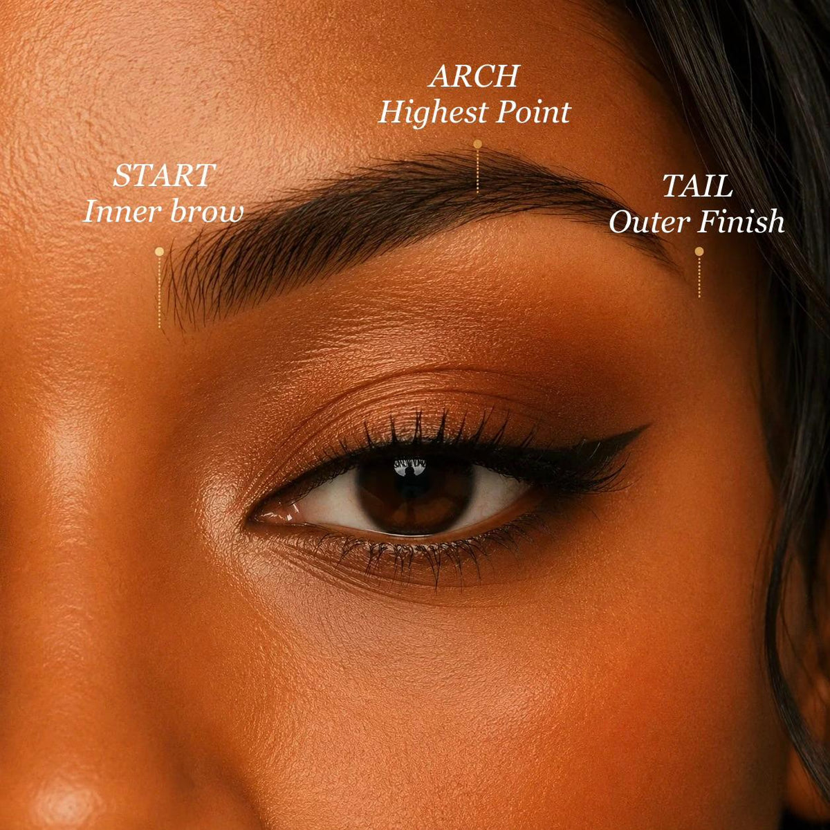 Natural eyebrow shape showing the start arch and tail